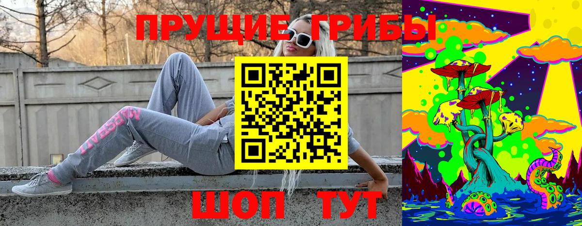 Псилоцибиновые грибы Psilocybine cubensis  Вход с VPN  Архангельск  Галлюциногенные грибы Psilocybe 